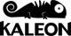 Kaleon Wallpaper Logo