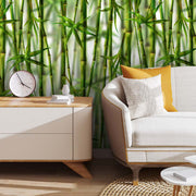 Layered Bamboo Forest Wallpaper