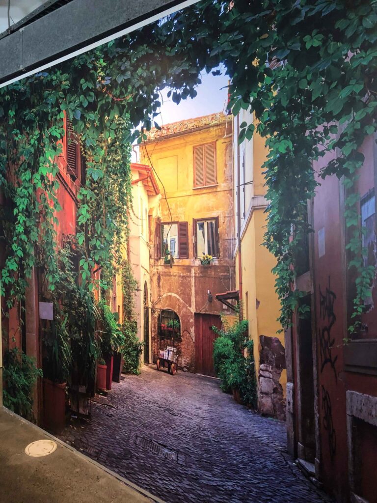 Cobbled street with old buildings and greenery in a sunlit alleyway