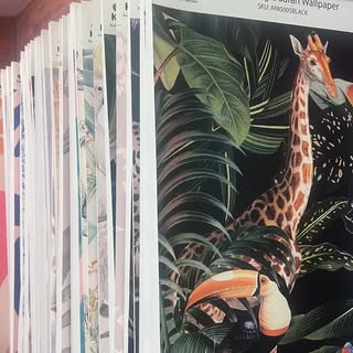 Collection of wallpaper samples with a giraffe design on a black background