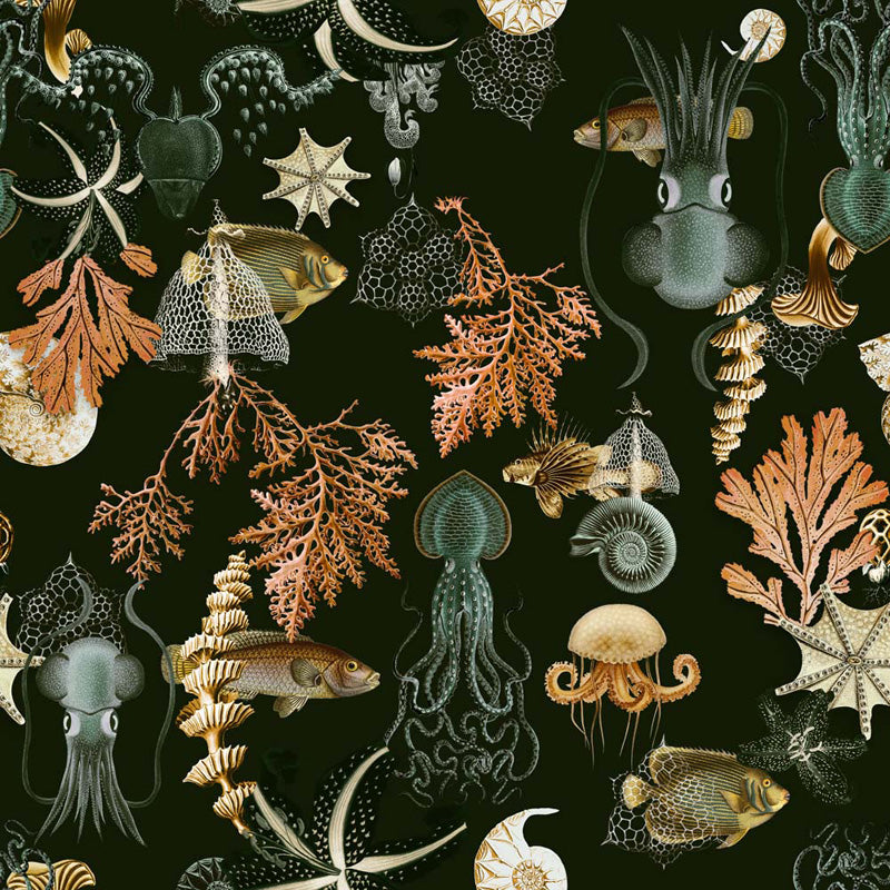 Abyssal Specimens – Ocean Life Wallpaper in Deep Tones
