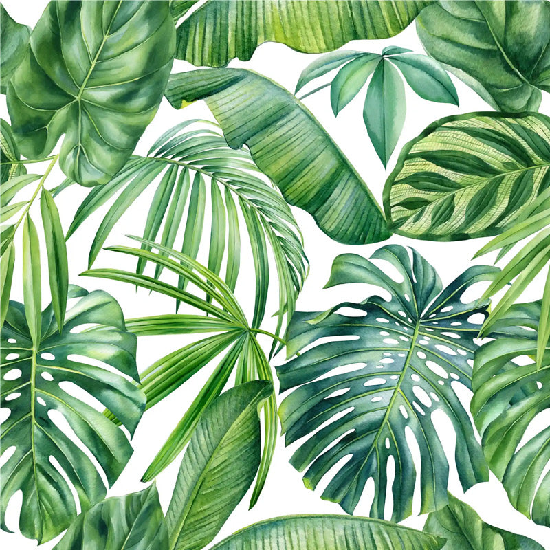 Wallpaper pattern of green tropical leaves on a white background