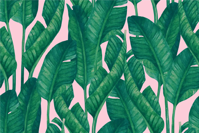 Pattern of green leaves on a pink background