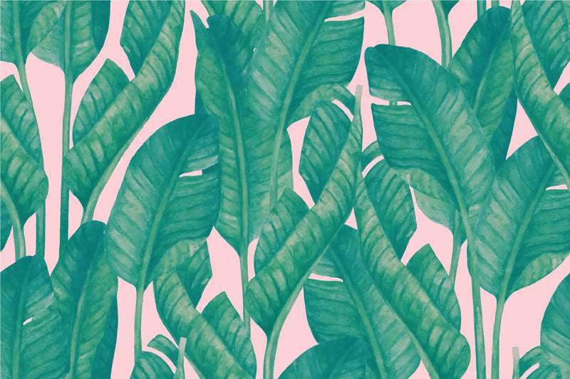 Pattern of green leaves on a pink background