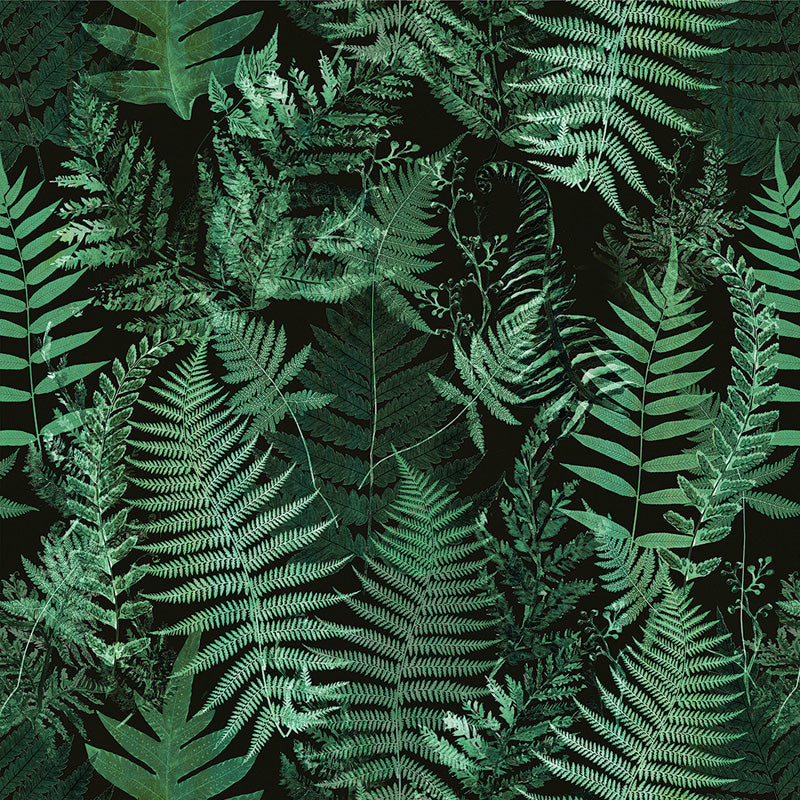 Emerald Ferns – Botanical Wallpaper in Deep Green