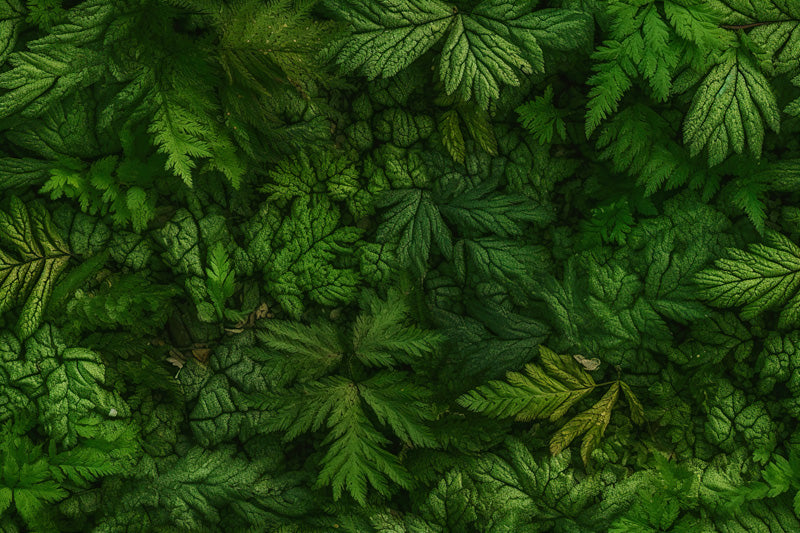 Moss Haven – Botanical Wallpaper in Deep Green