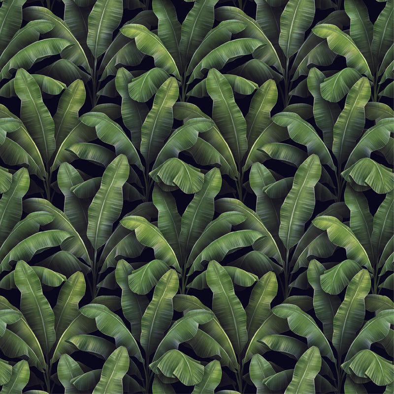 Tropical Canopy – Botanical Wallpaper in Deep Green