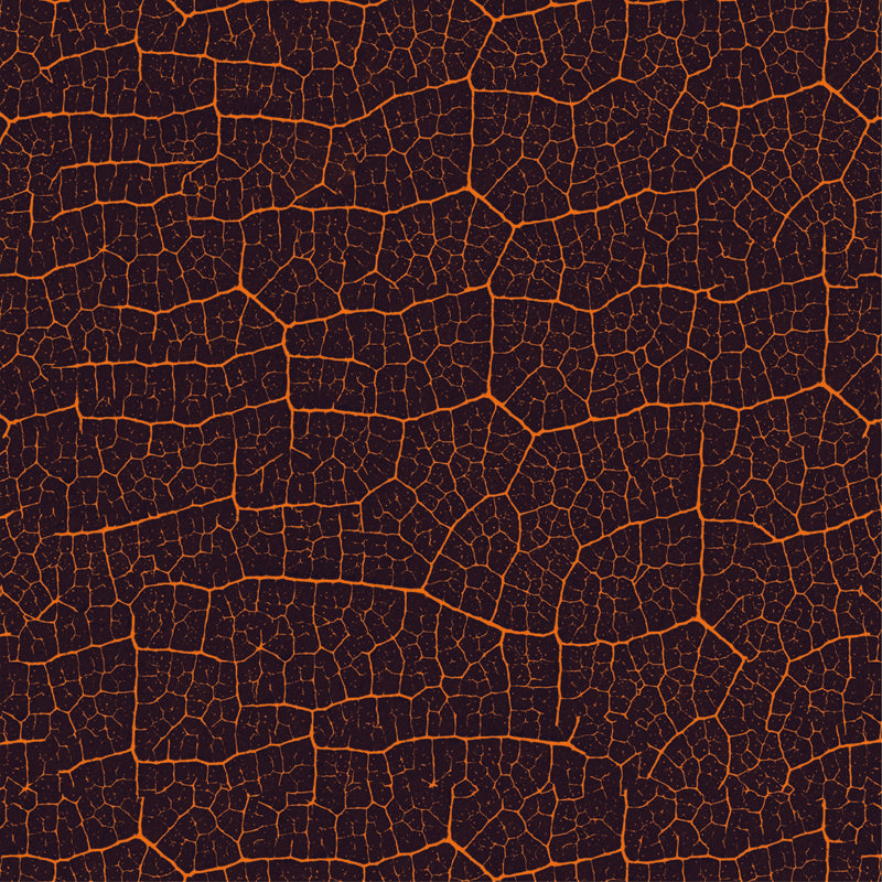 Cracked Earth Texture – Abstract Wallpaper in Natural Tones