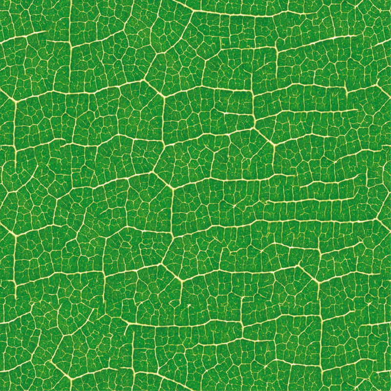 Cracked Earth Texture – Abstract Wallpaper in Natural Tones