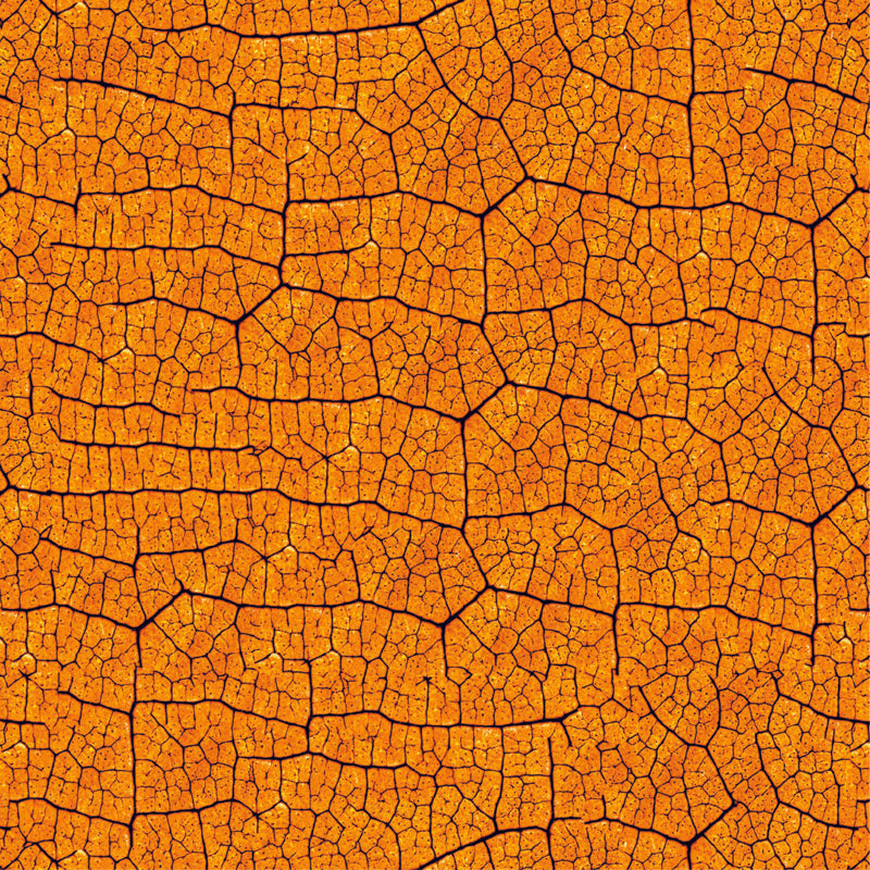 Cracked Earth Texture – Abstract Wallpaper in Natural Tones