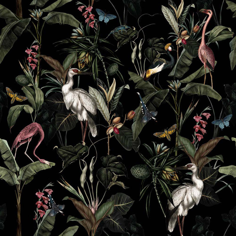 Nocturnal Aviary – Wallpaper in Black