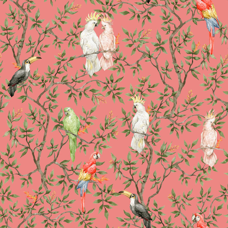 Parrot Grove – Tropical Wallpaper