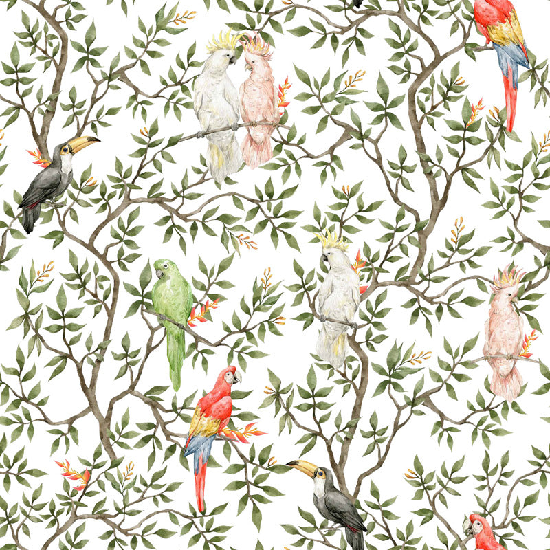 Parrot Grove – Tropical Wallpaper