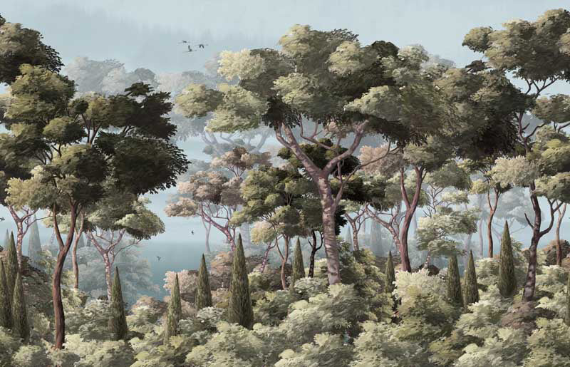 Forest scene wall mural with trees and misty background