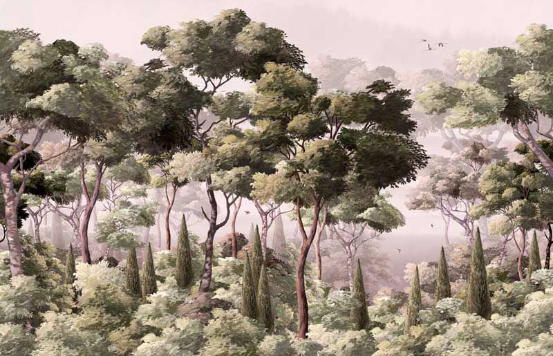 Forest wall mural with various trees and a misty background