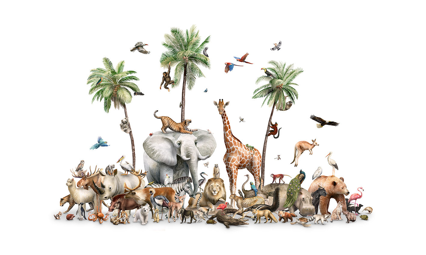 Beautiful Biodiversity Wallpaper Mural
