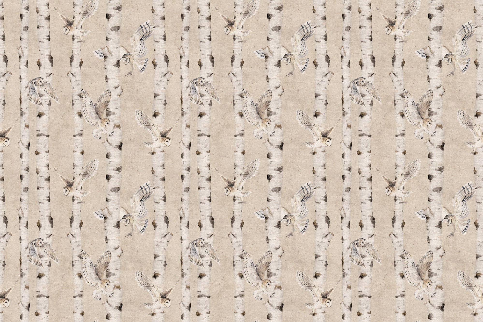 Birch and Owls Wallpaper