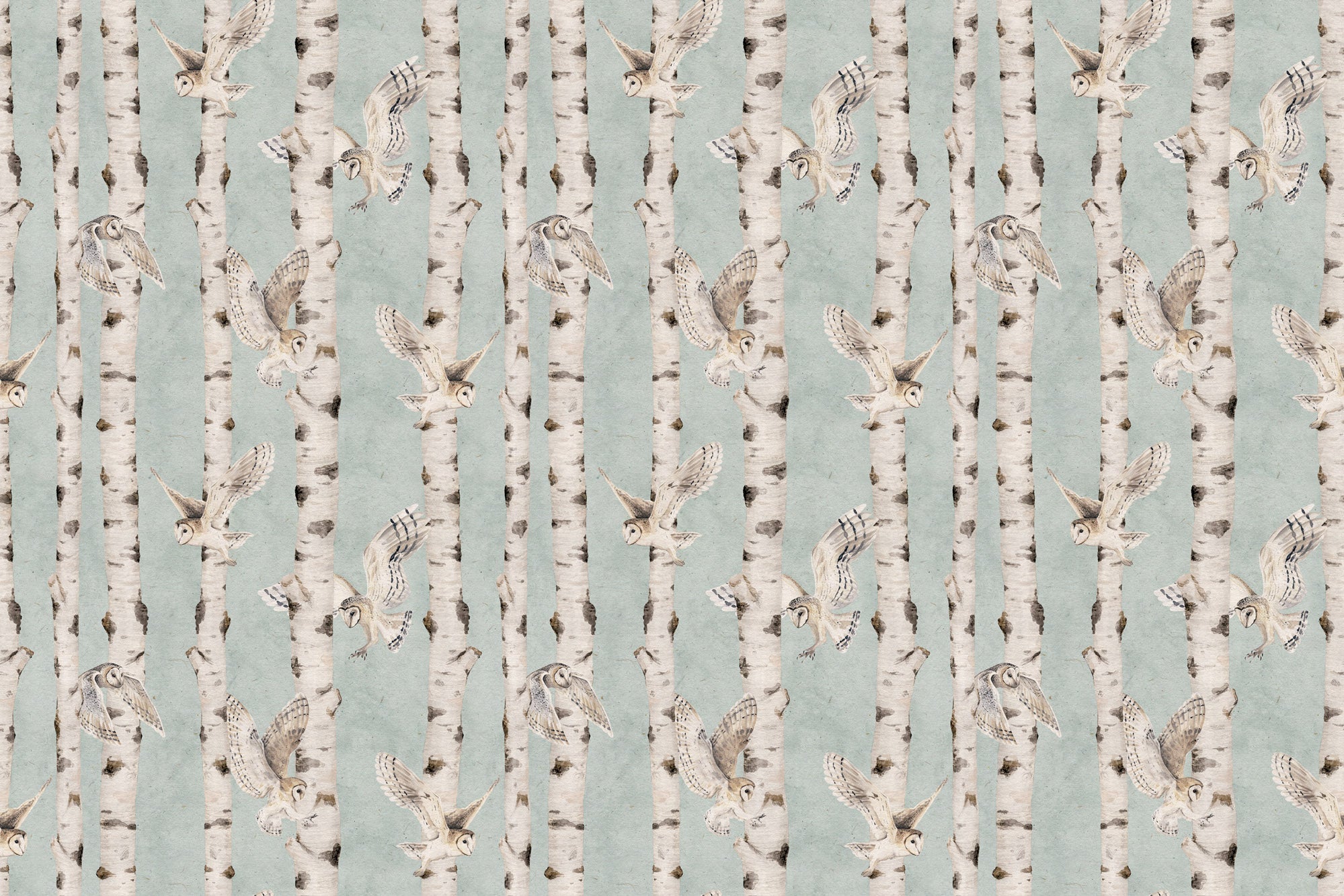 Birch and Owls Wallpaper