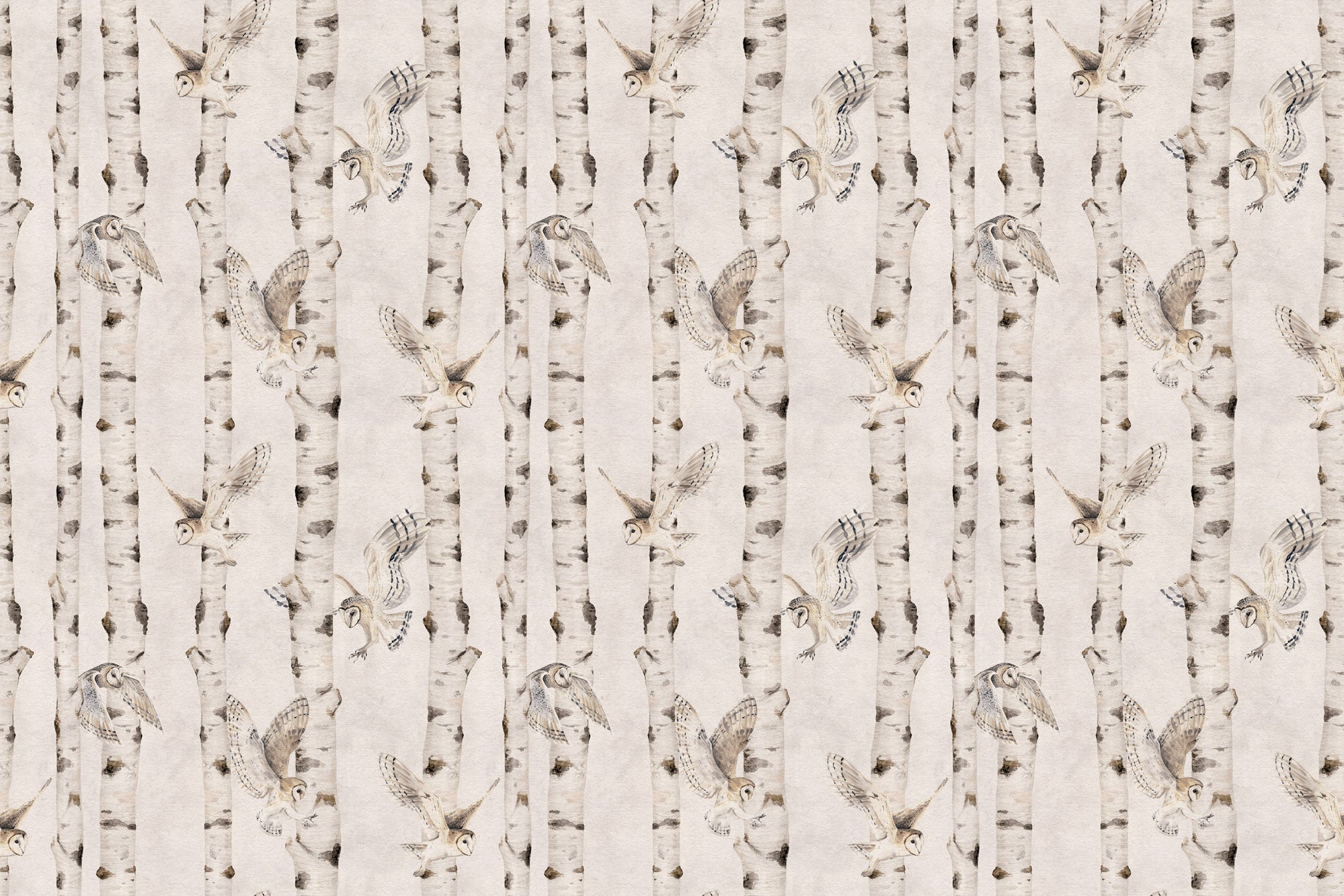 Birch and Owls Wallpaper