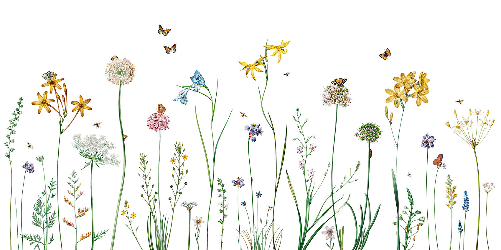 Butterfly Garden Floral Wallpaper Mural