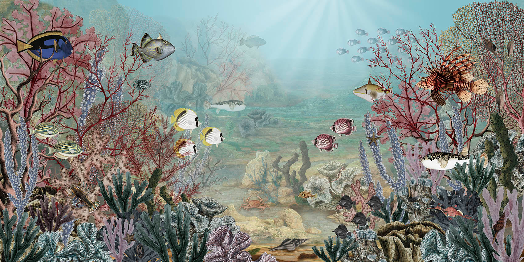 Coral Creatures Underwater Ocean Wallpaper Mural