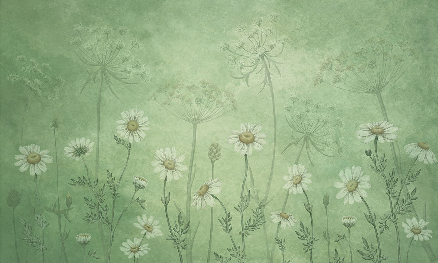 Dazzling Daisies Floral Botanical Wallpaper Mural
