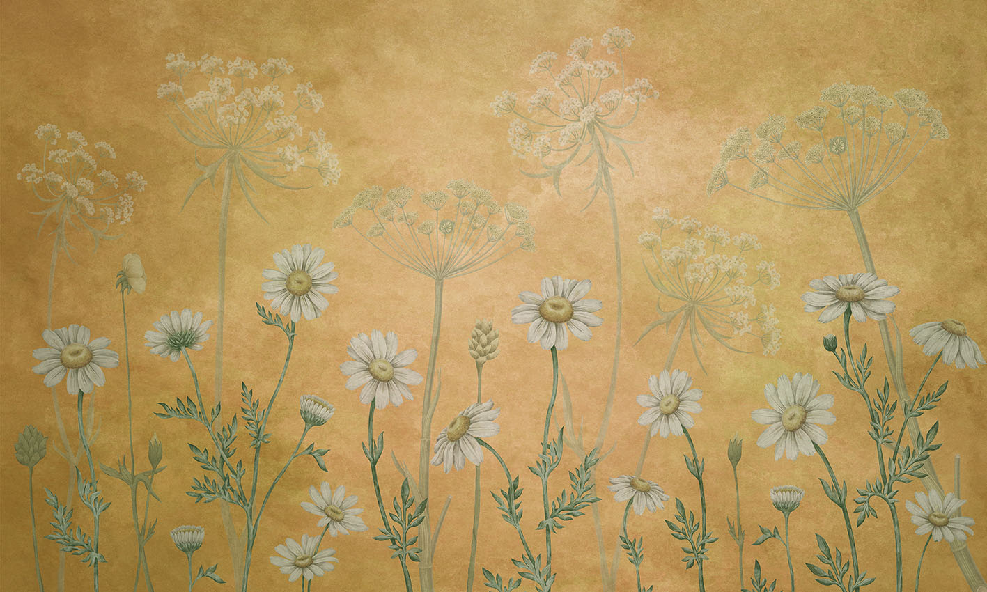 Dazzling Daisies Floral Botanical Wallpaper Mural