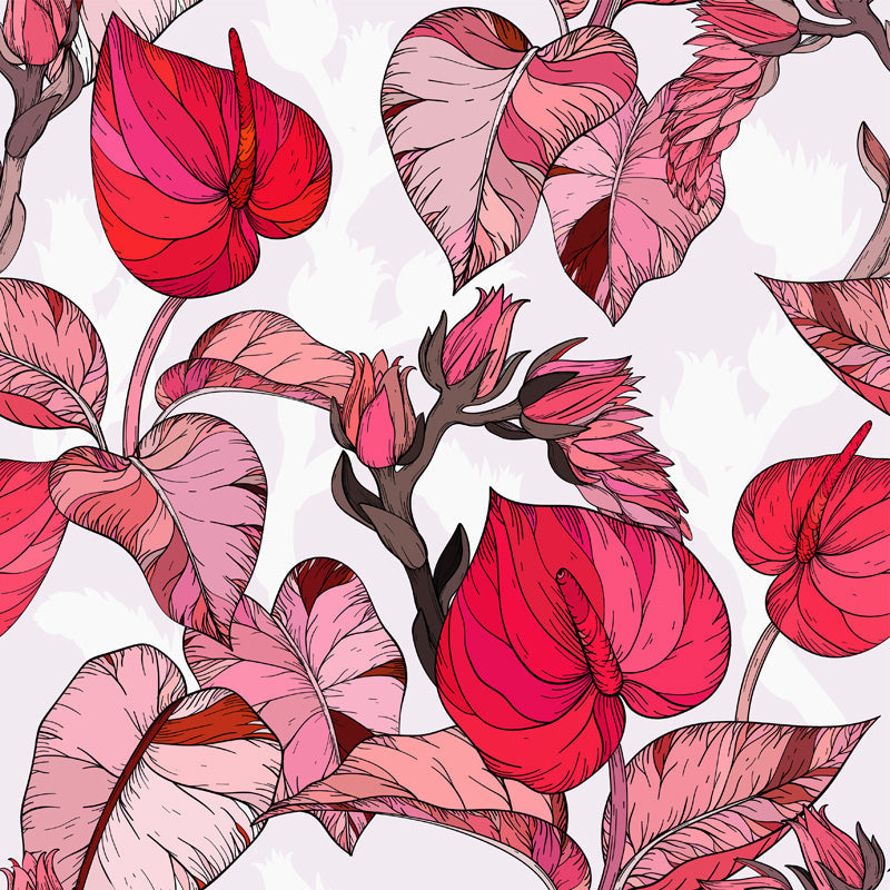 Pink Anthurium Botanical Wallpaper
