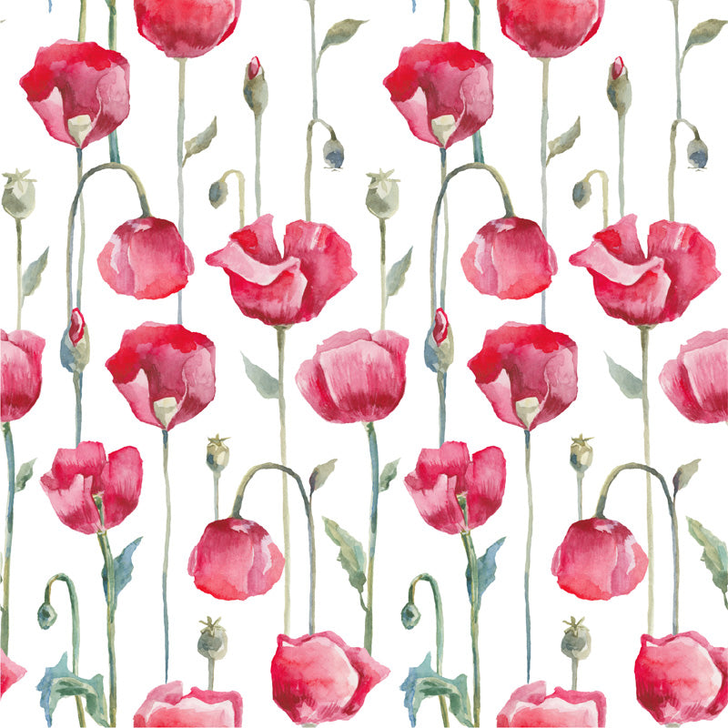 Watercolour Poppy Bloom Wallpaper