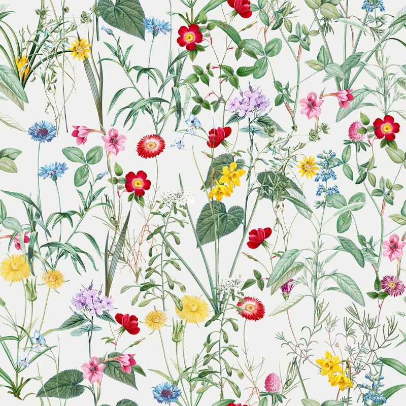 Wild Garden – Botanical Floral Wallpaper in Dark & Light