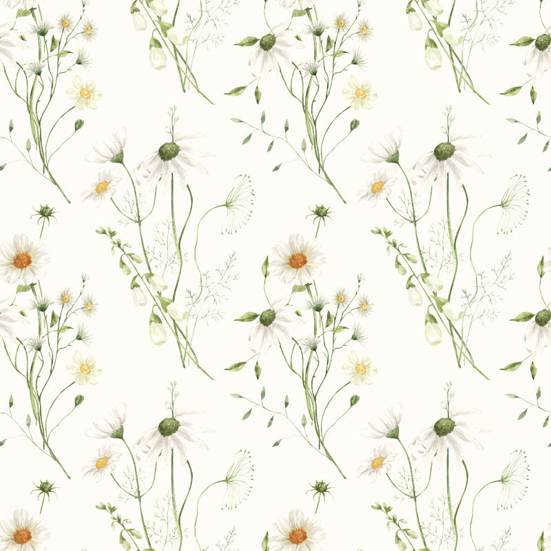 Wild Meadow Daisies Wallpaper – Soft Botanical Floral Pattern