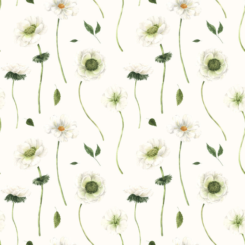 Daisy Drift Floral Wallpaper – Soft Wildflower Pattern