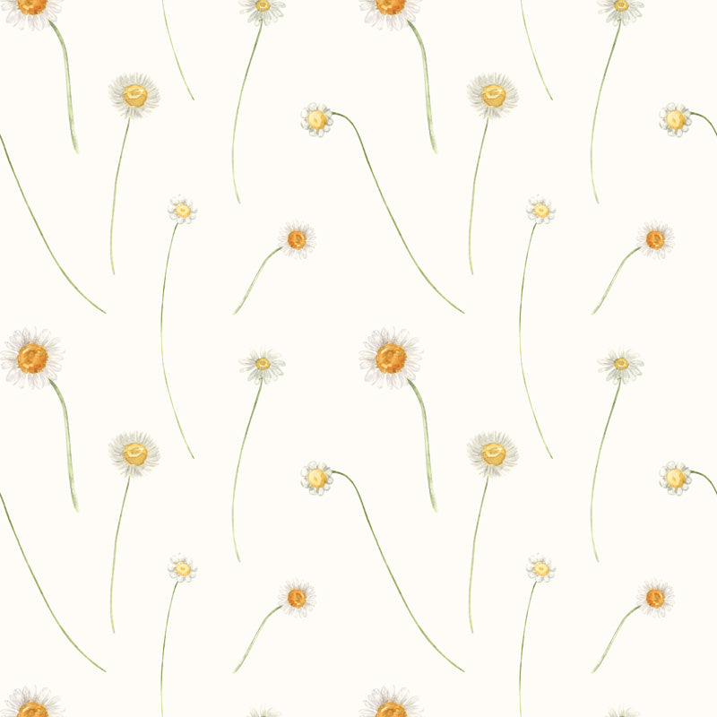 Wild Daisy Breeze Wallpaper – Minimal Floral Pattern