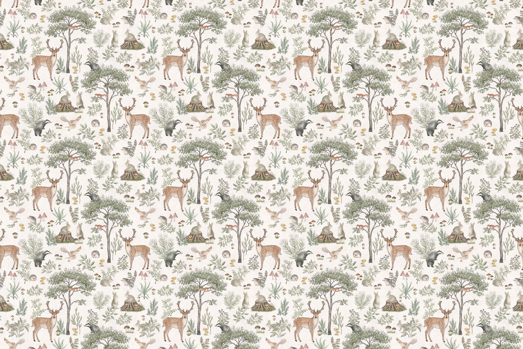 Fantastic Forest Wallpaper