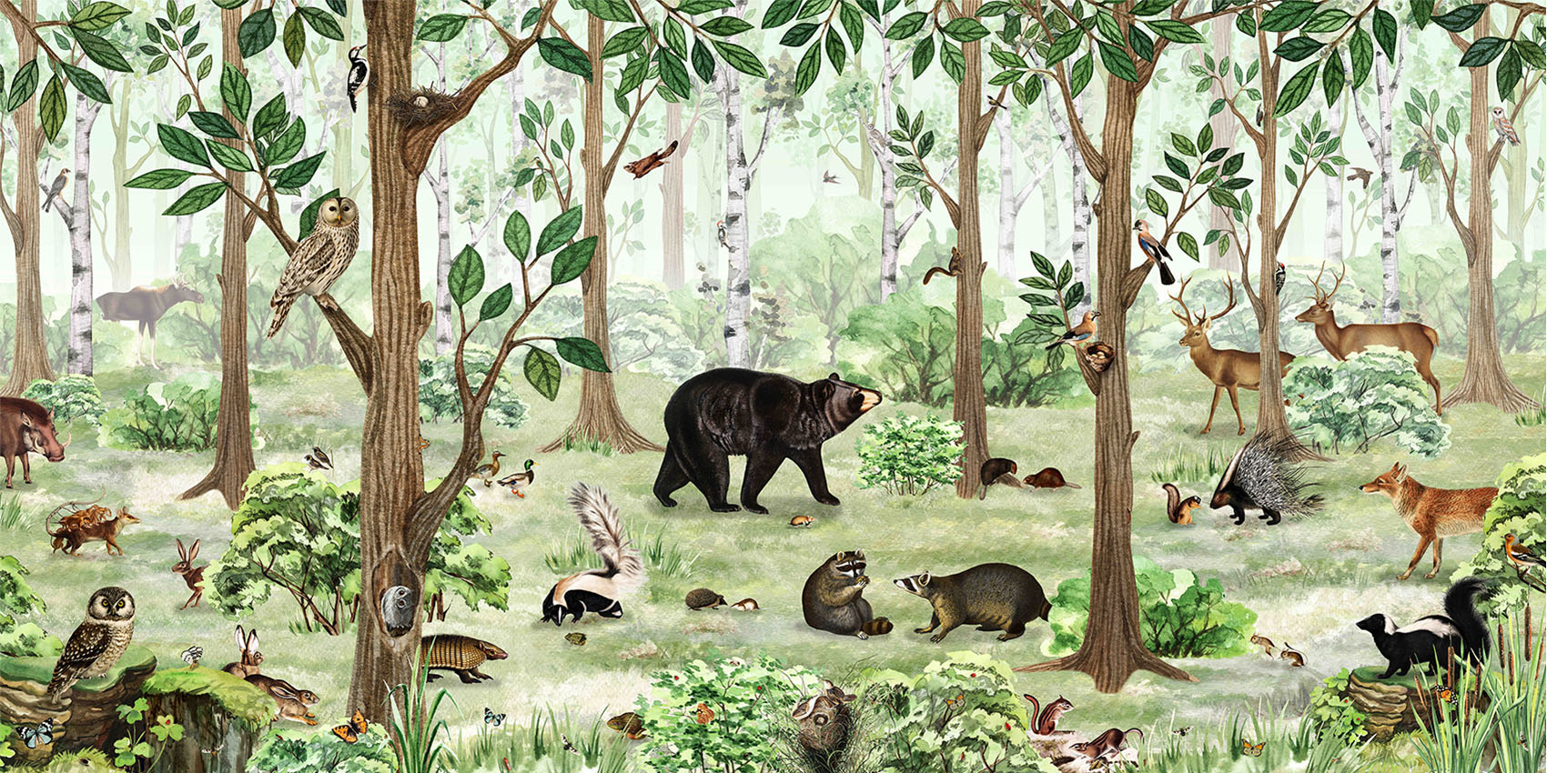 Forest Lookbook Woodland Wallpaper Mural
