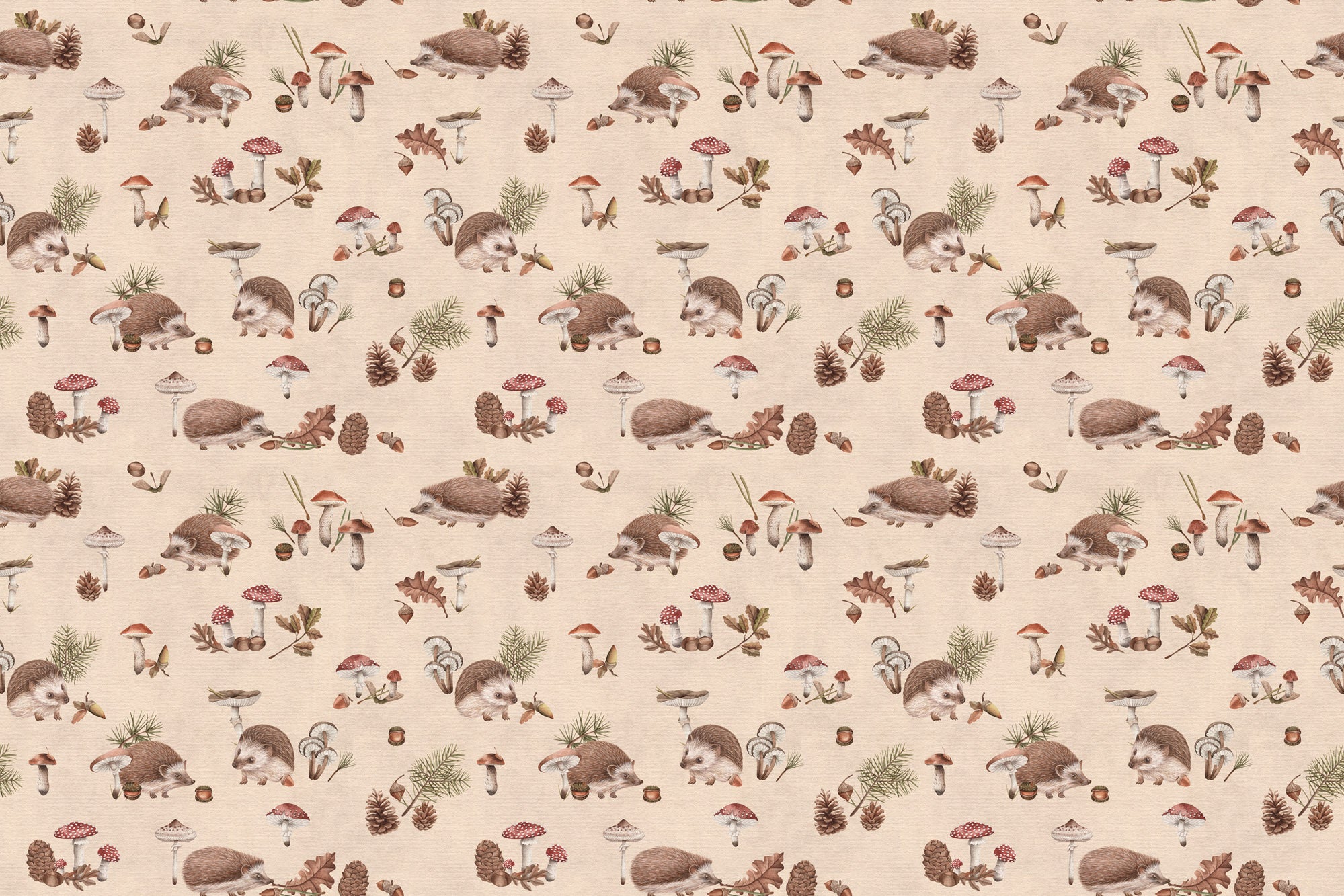 Happy Hedgehog Wallpaper