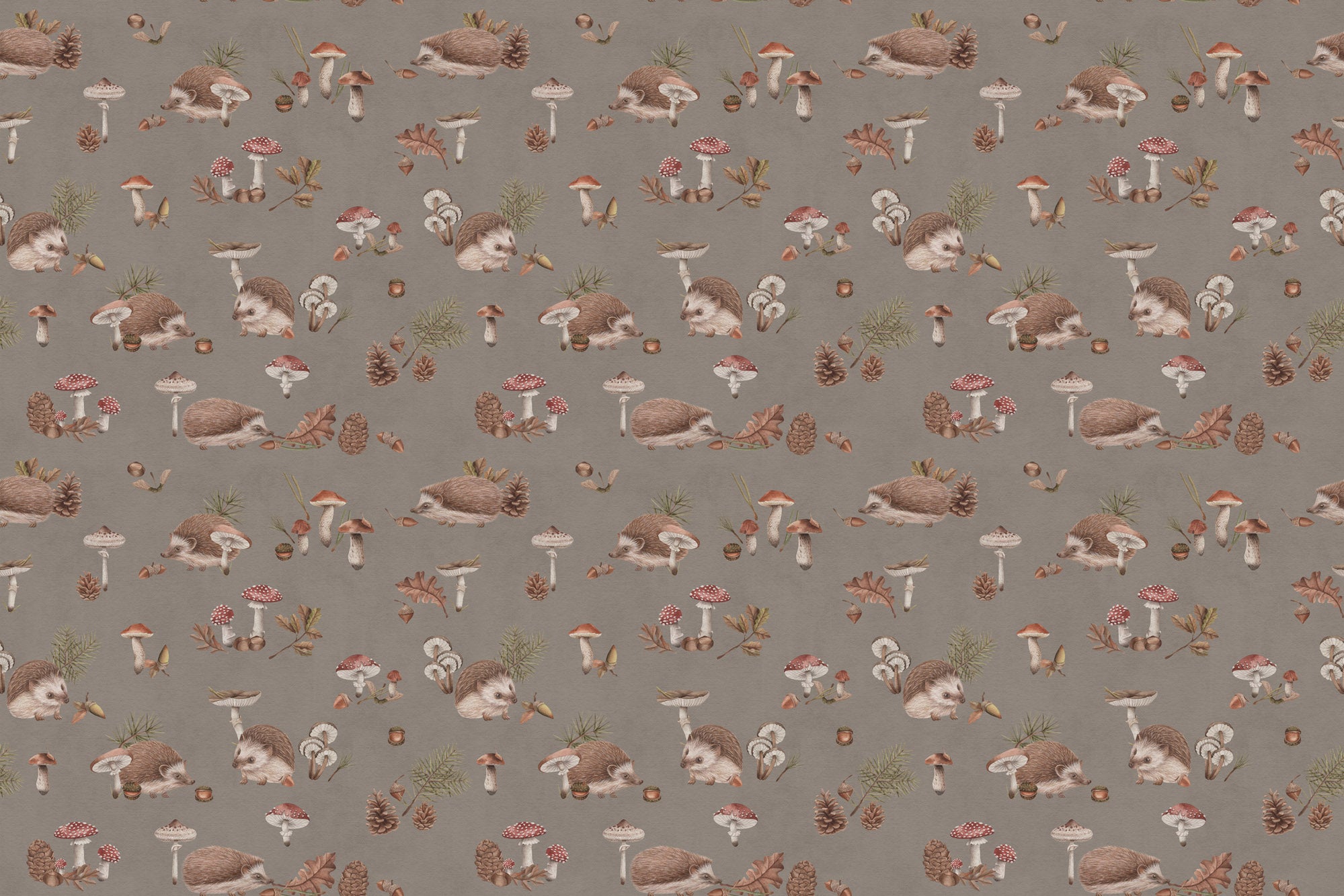 Happy Hedgehog Wallpaper