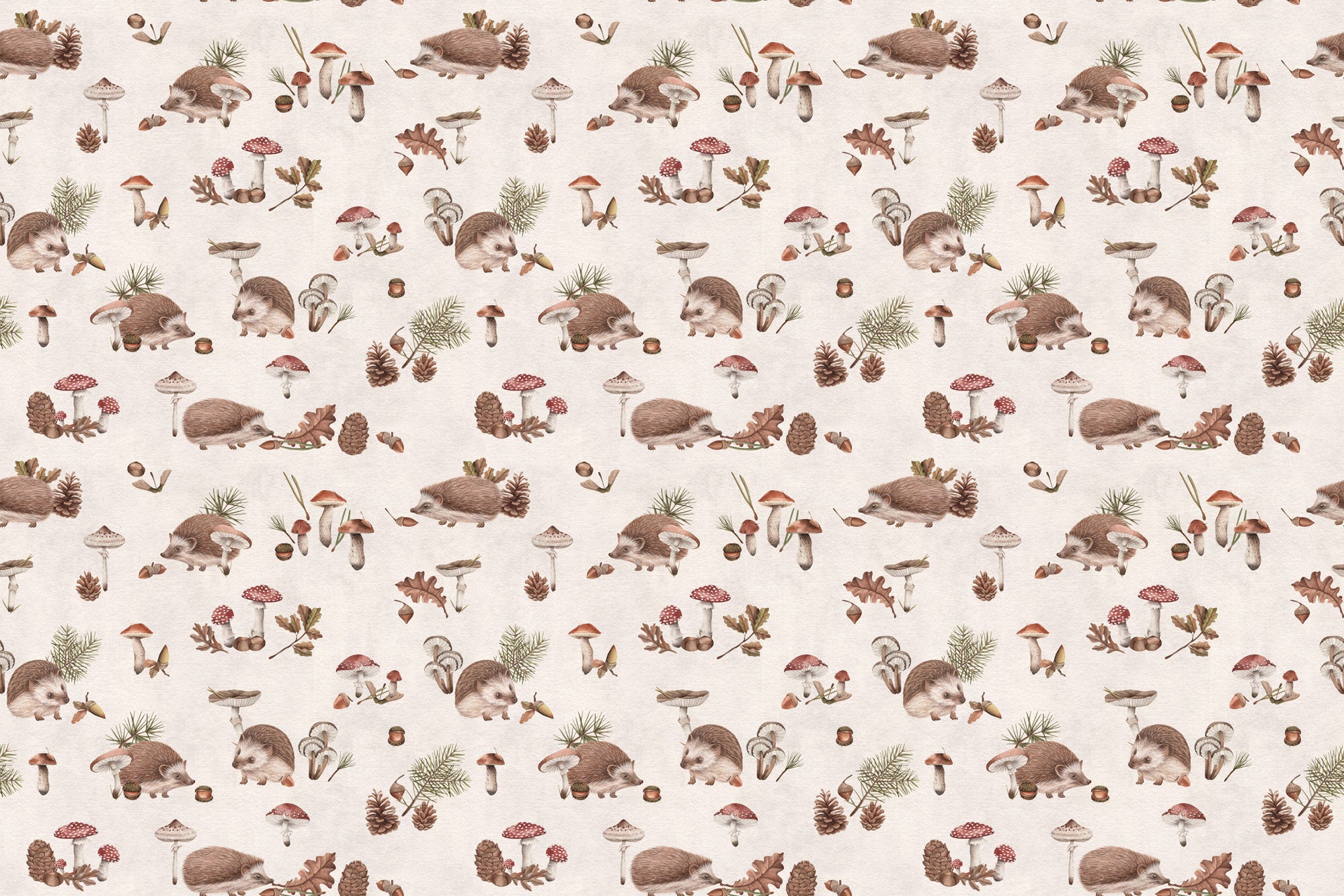 Happy Hedgehog Wallpaper