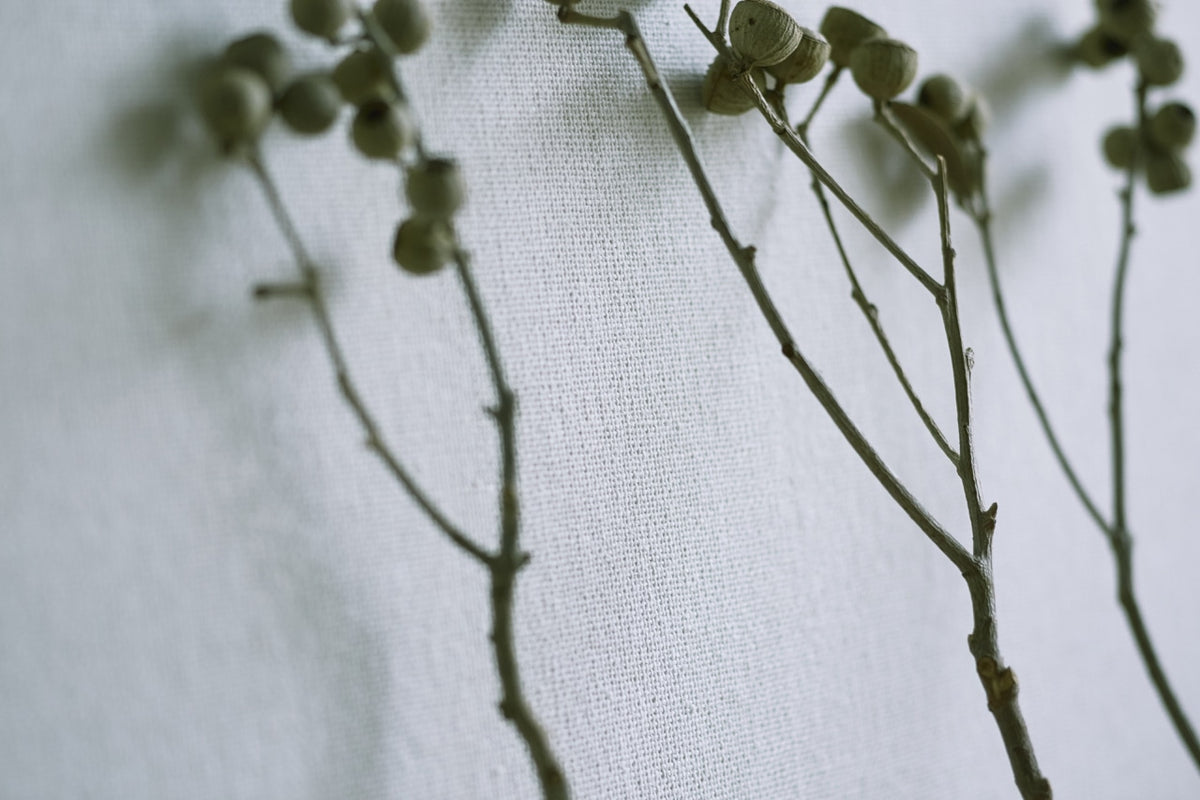 Aoi Woven Textile Wallpaper Roll, handmade Japanese wallcovering by Tokiwa