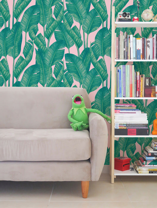 Green frog plush toy on a gray sofa against a pink wallpaper with green leaf design, next to a bookshelf.