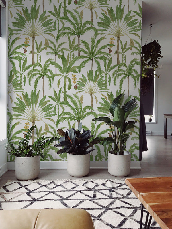 Living room with palm leaf wallpaper, potted plants, and a wooden coffee table.