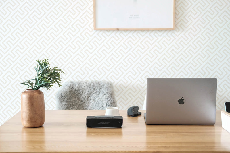 Laptop on a wooden desk with a plant and small speaker in a room with geometric wallpaper.