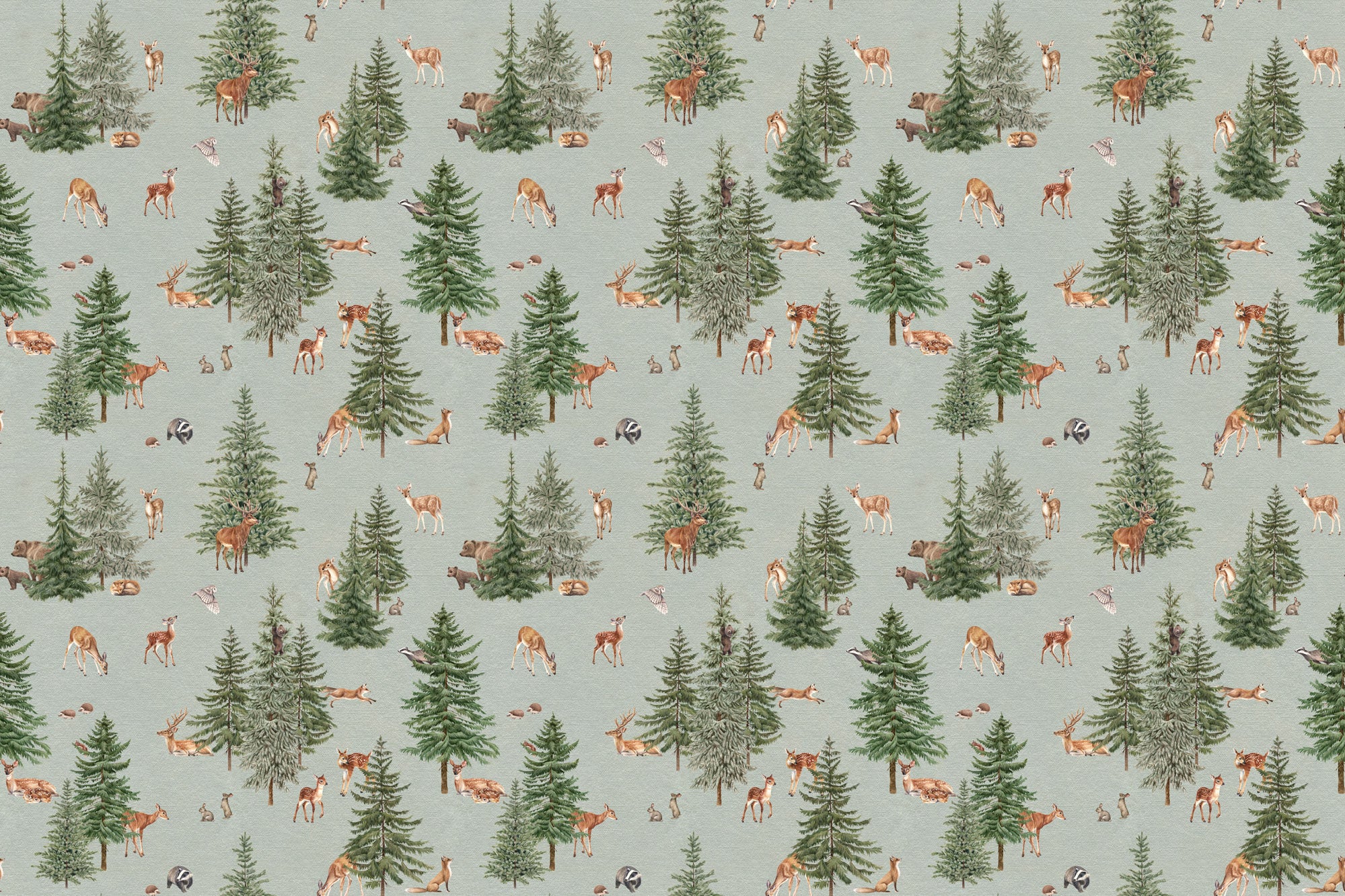 Pine Forest Wallpaper