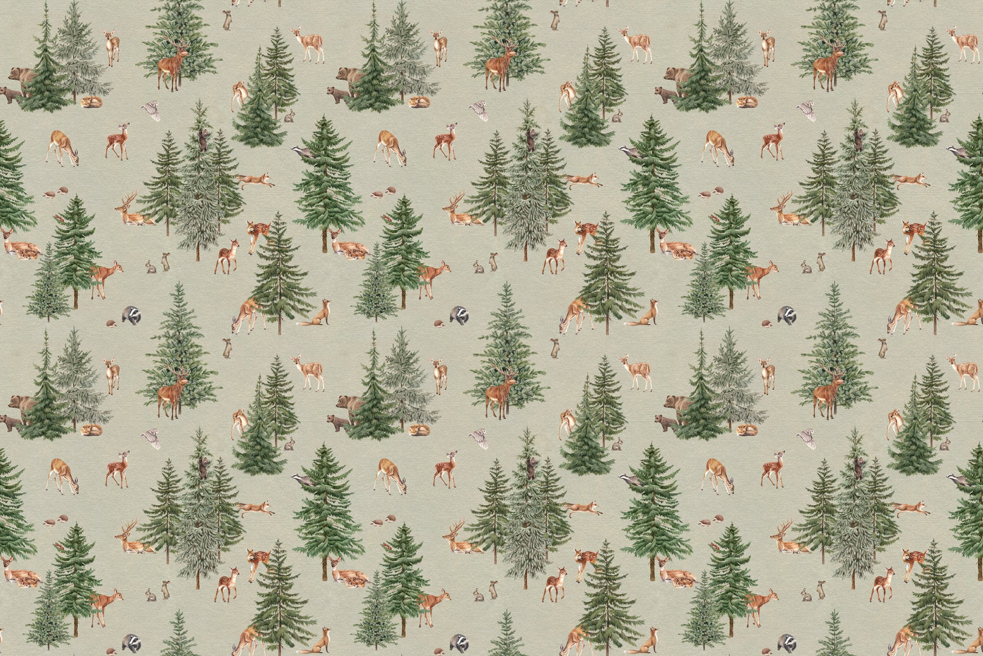 Pine Forest Wallpaper