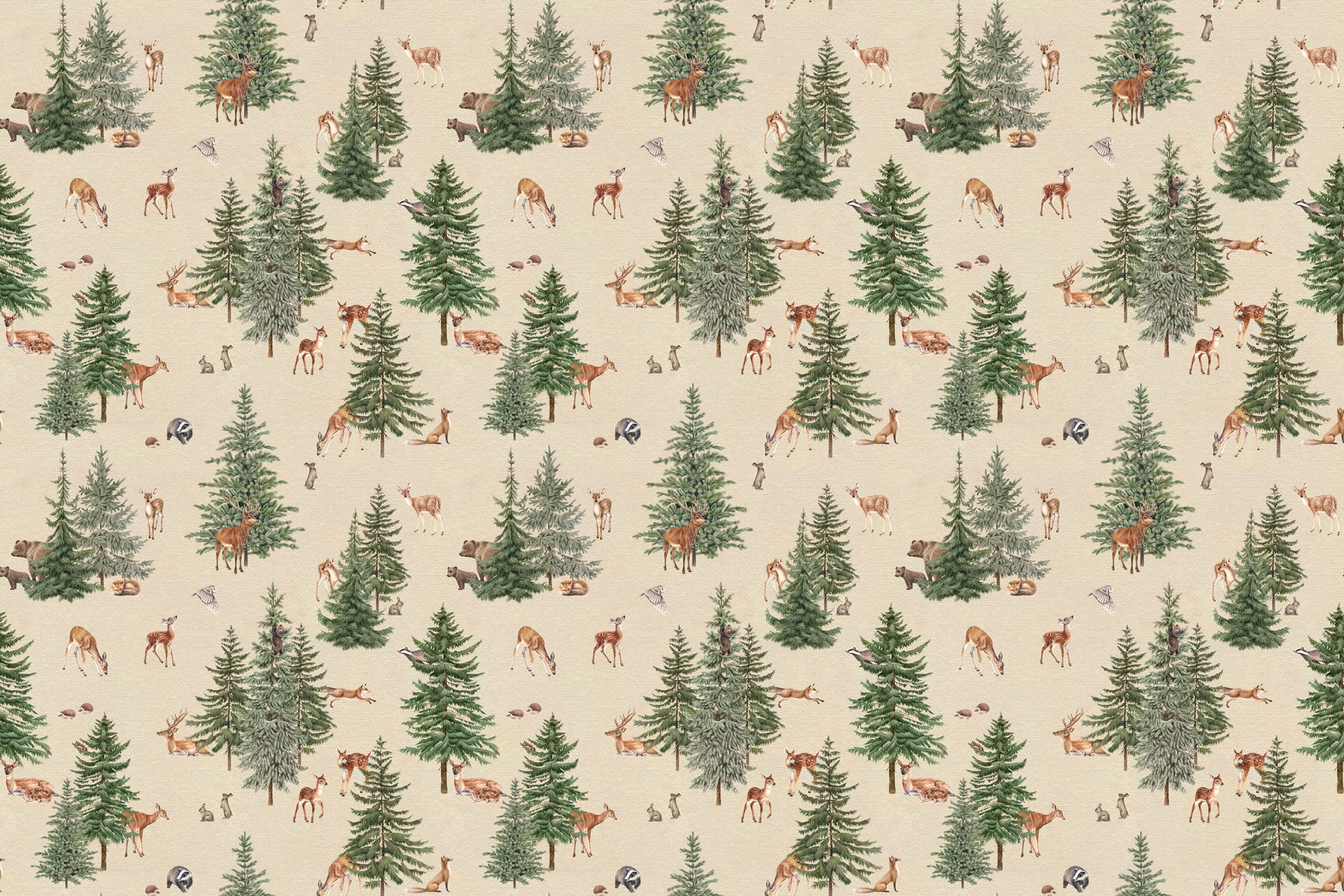 Pine Forest Wallpaper