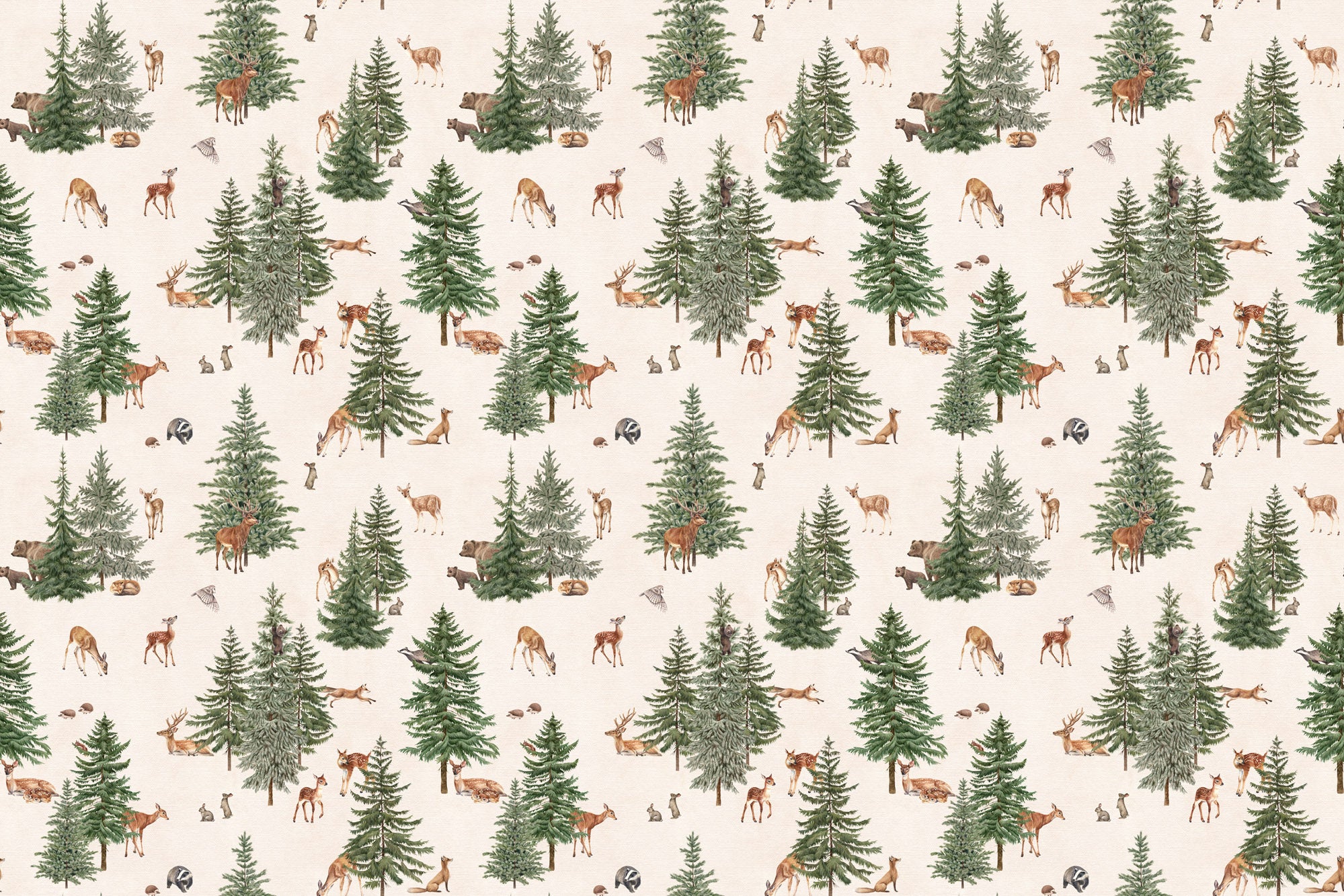 Pine Forest Wallpaper