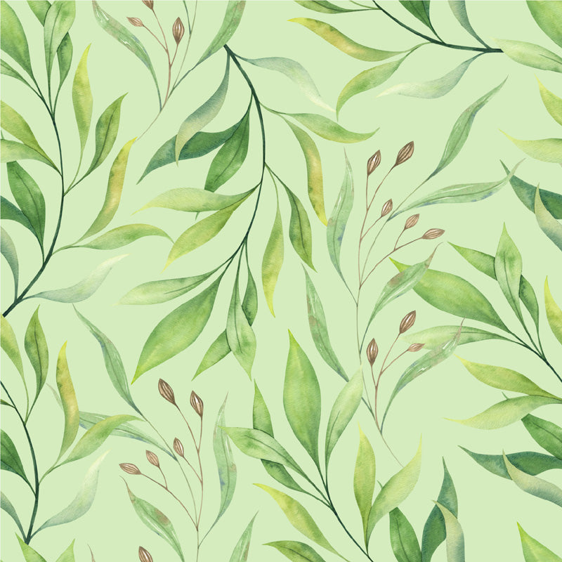 Watercolour Willow Botanical Wallpaper