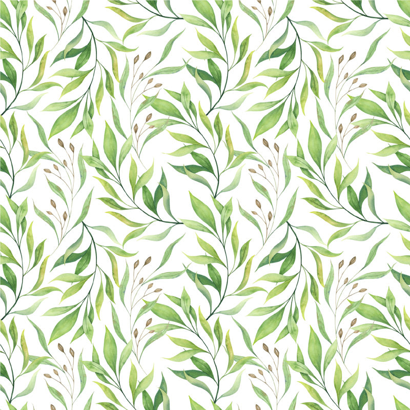 Watercolour Willow Botanical Wallpaper
