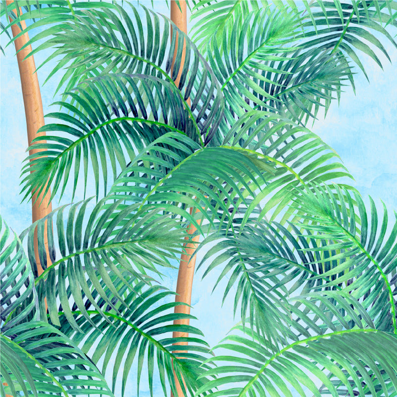 Tropical Palm Canopy Wallpaper