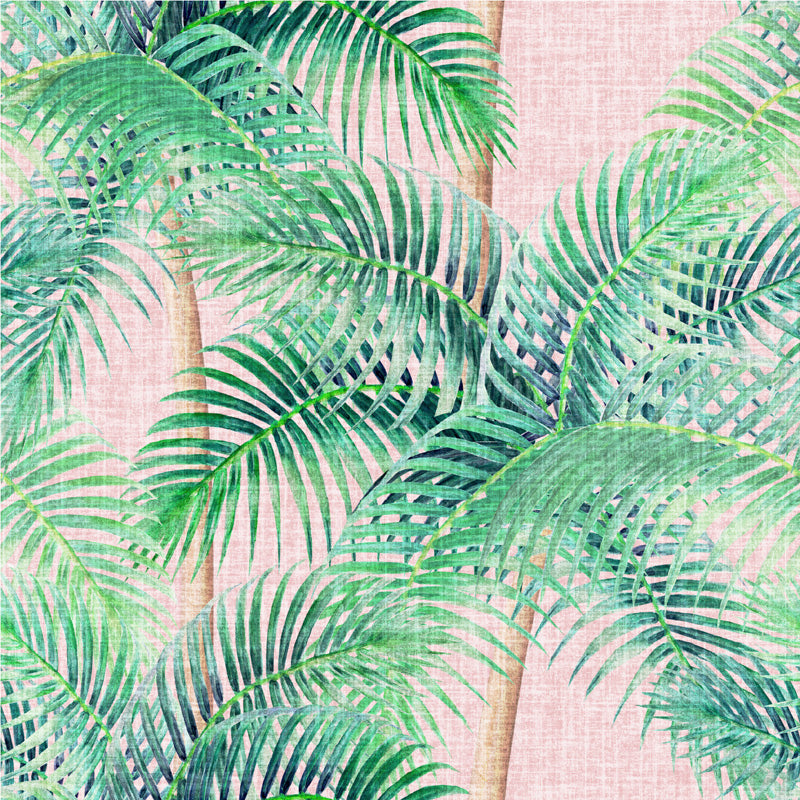 Tropical Palm Canopy Wallpaper